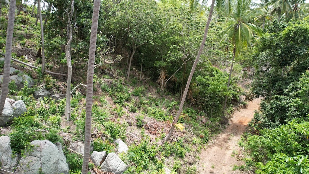 Lamai Sea View Land For Sale Access