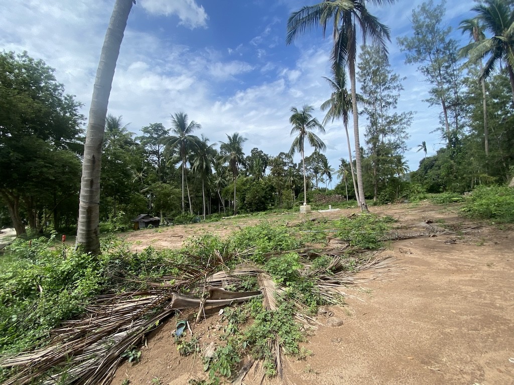 Land For Sale At Lamai Koh Samui