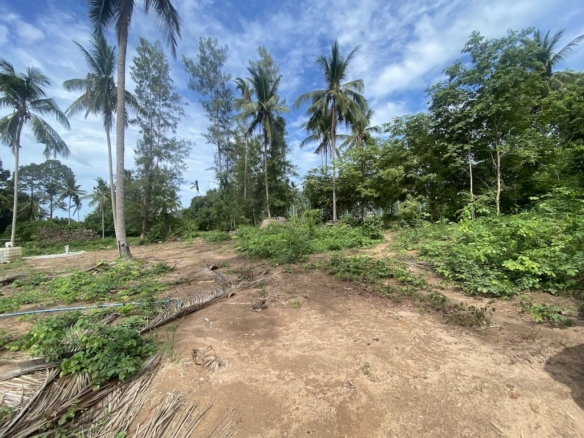 Land For Sale At Lamai Koh Samui