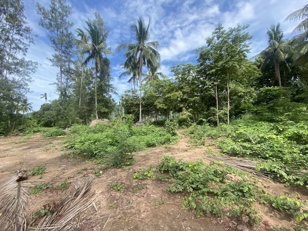 Land For Sale At Lamai Koh Samui