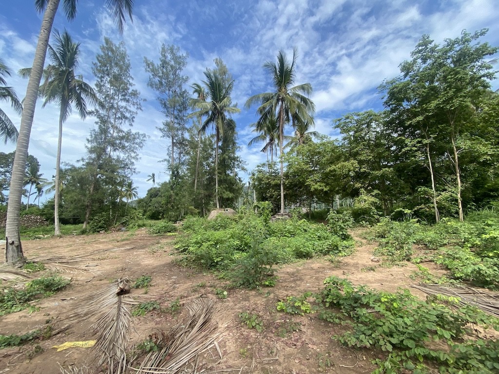 Land For Sale At Lamai Koh Samui