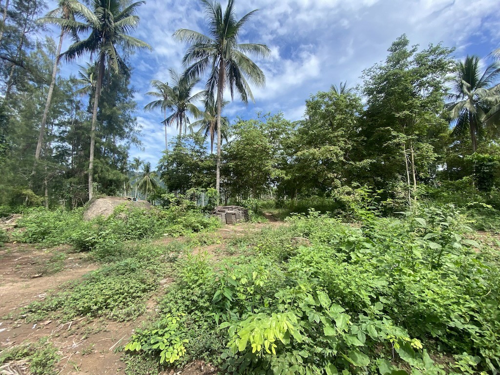 Land For Sale At Lamai Koh Samui