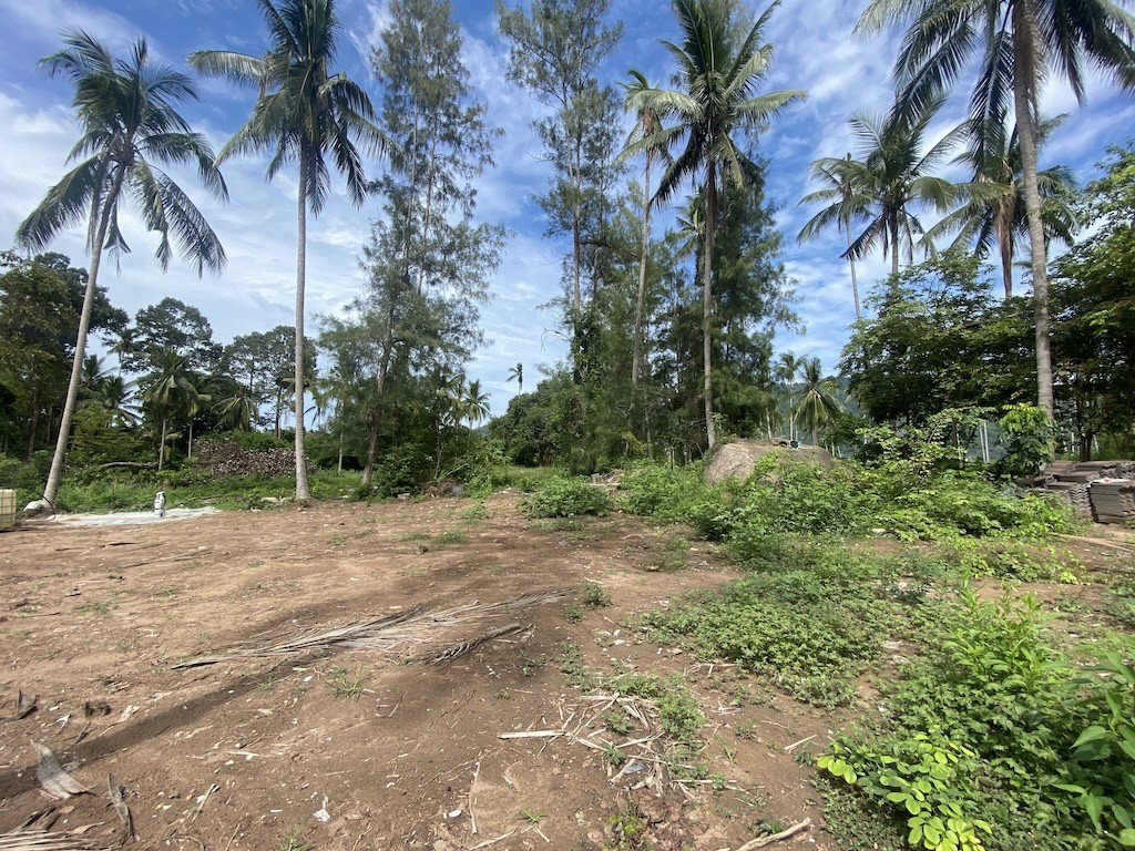 Land For Sale At Lamai Koh Samui
