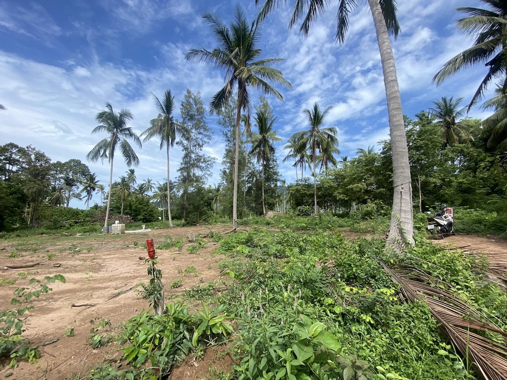 Land For Sale At Lamai Koh Samui