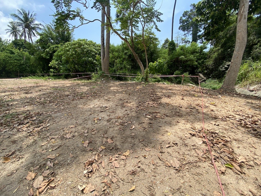 Land For Sale In Chaweng Border