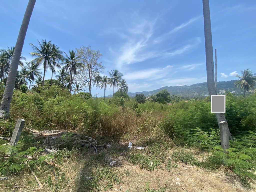 Land For Sale In Chaweng Koh Samui