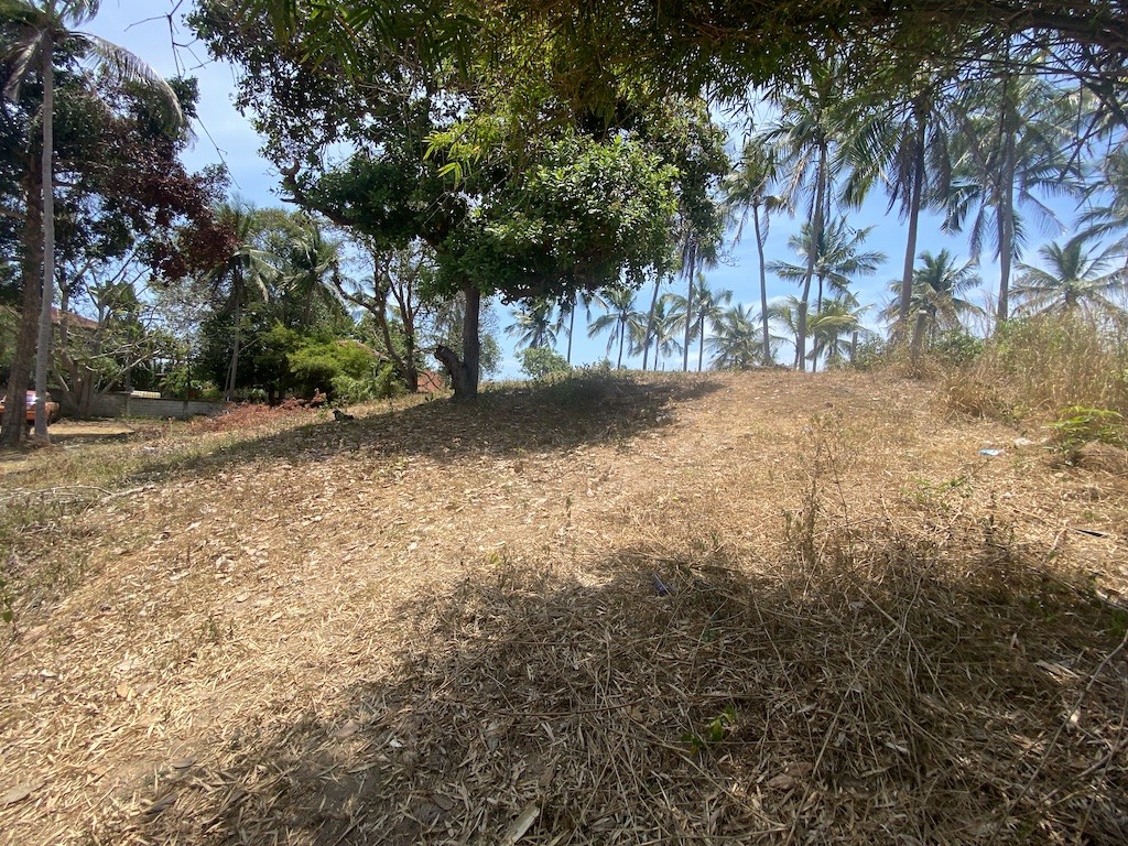 Land For Sale In Chaweng Koh Samui Slope