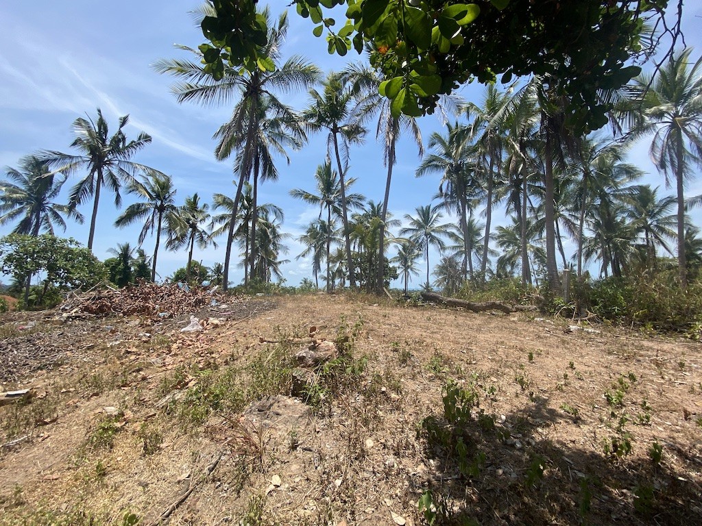 Land For Sale In Chaweng Koh Samui