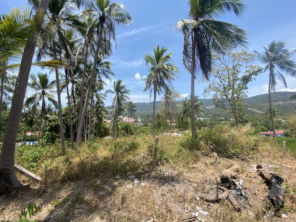 Land For Sale In Chaweng Koh Samui Hill View