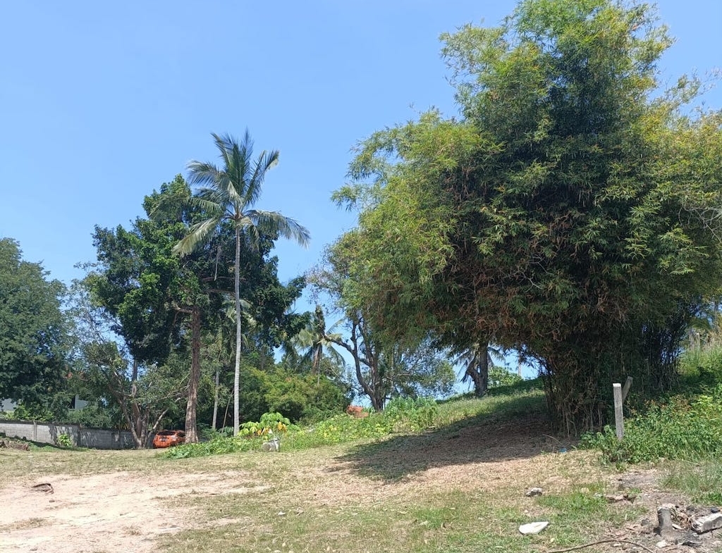 Land For Sale In Chaweng Koh Samui