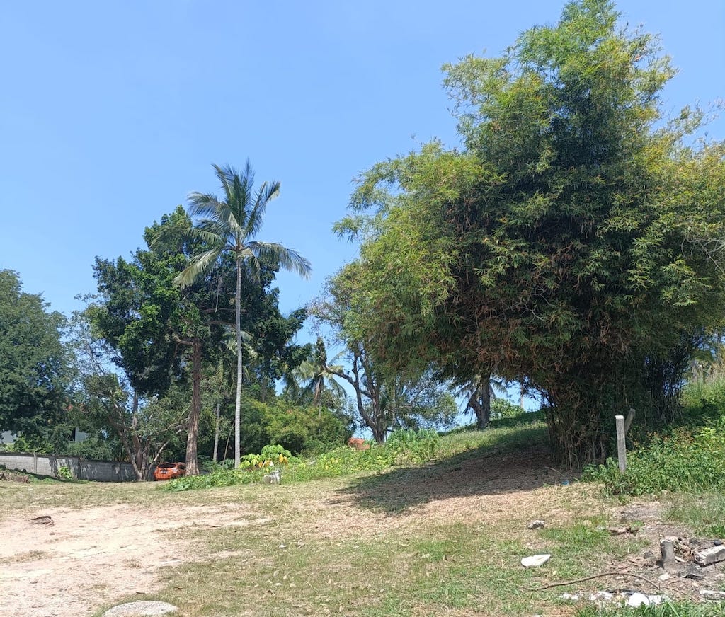 Land For Sale In Chaweng Koh Samui Land For Sale In Chaweng Koh Samui