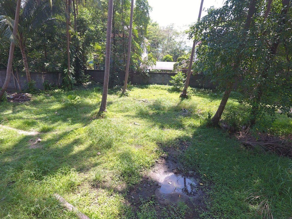Land For Sale In Koh Samui