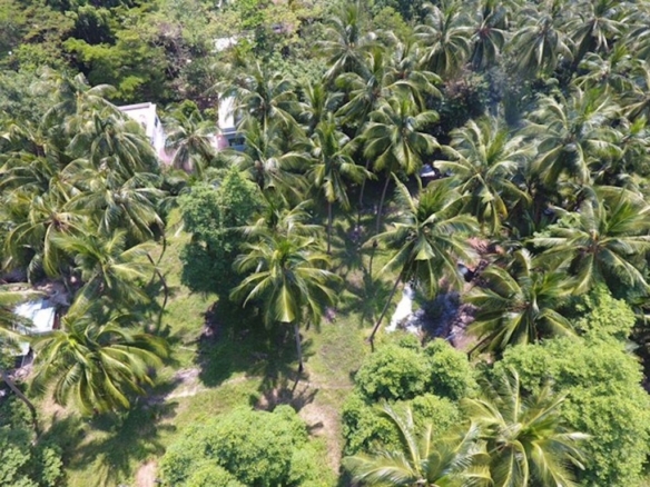 Land For Sale In Koh Samui Aerial