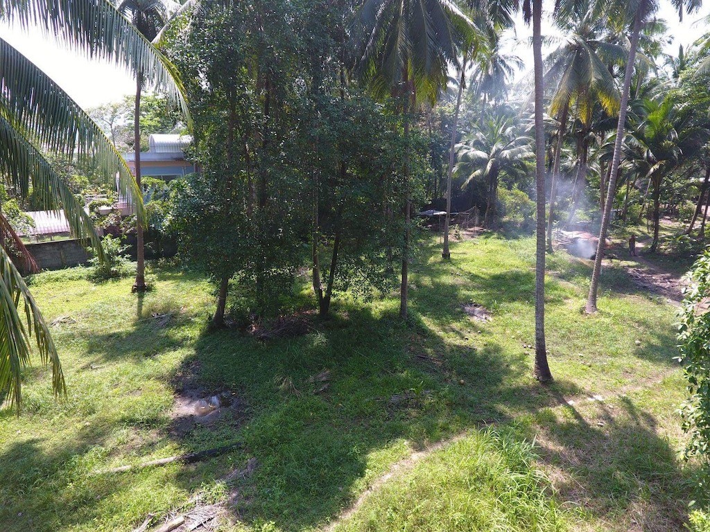 Land For Sale In Koh Samui