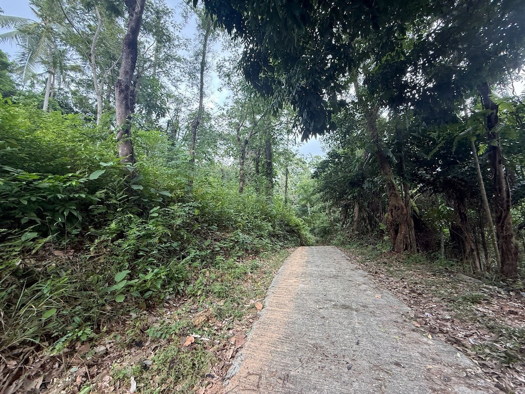 Land For Sale In Koh Samui's Lamai Area Road