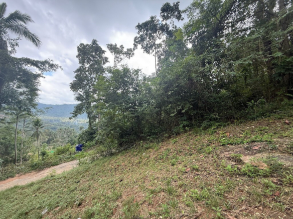 Land For Sale In Koh Samui's Lamai Area Slope