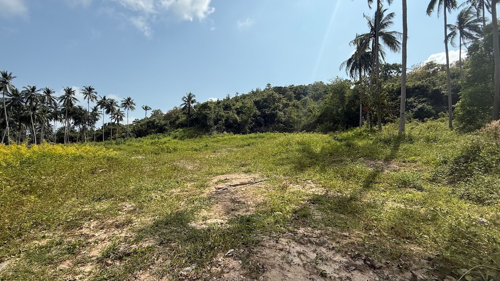 Land For Sale In Koh Samui's Southwest