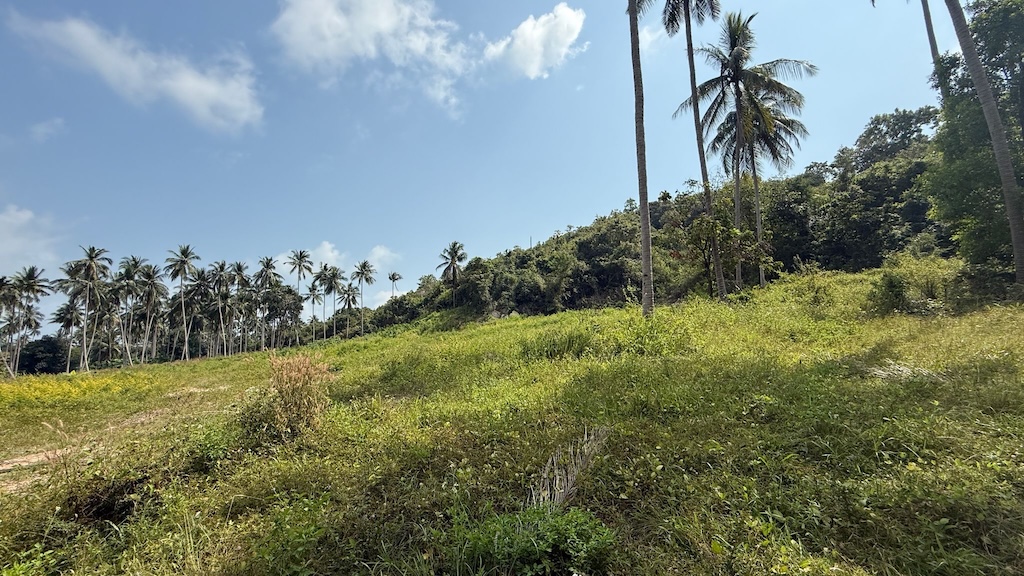 Land For Sale In Koh Samui's Southwest