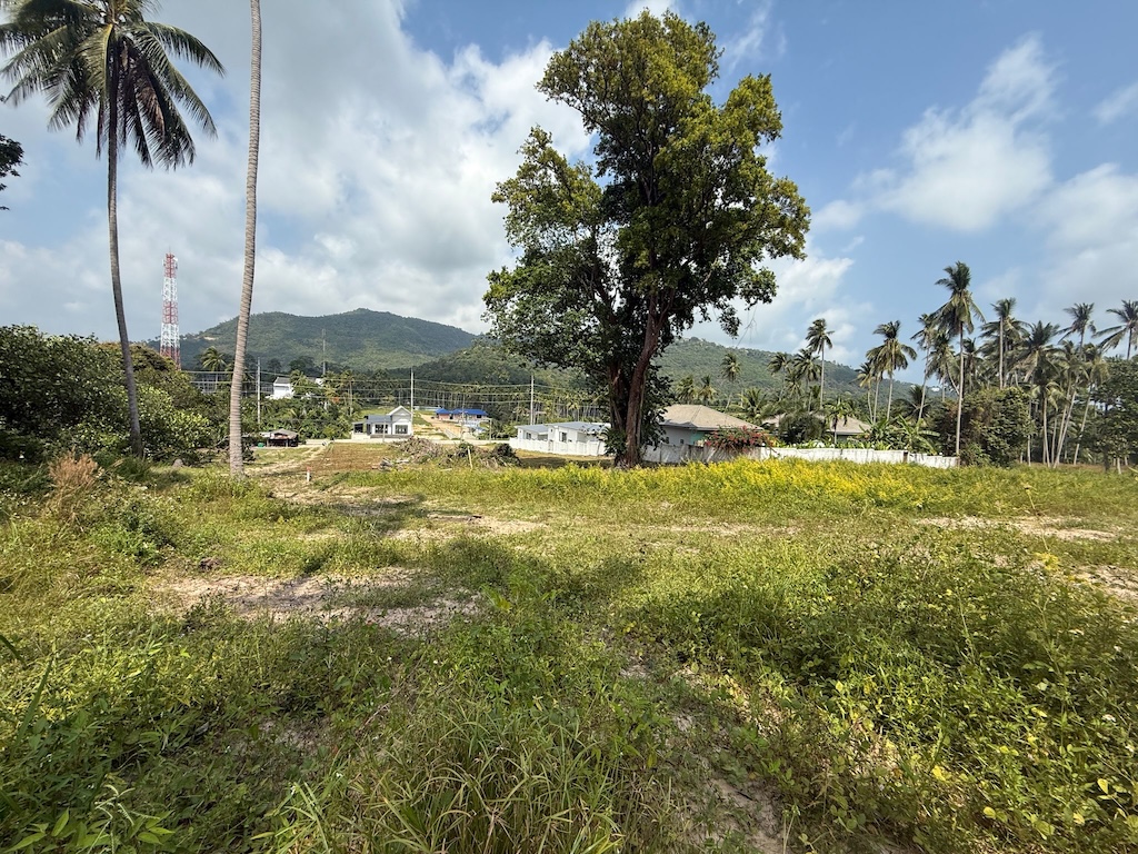 Land For Sale In Koh Samui's Southwest