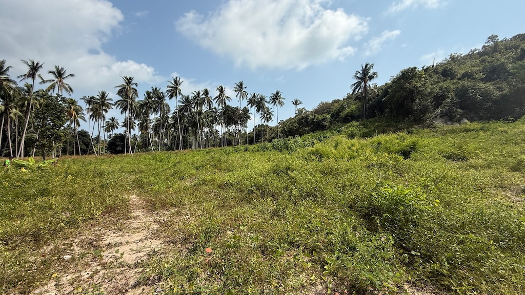 Land For Sale In Koh Samui's Southwest