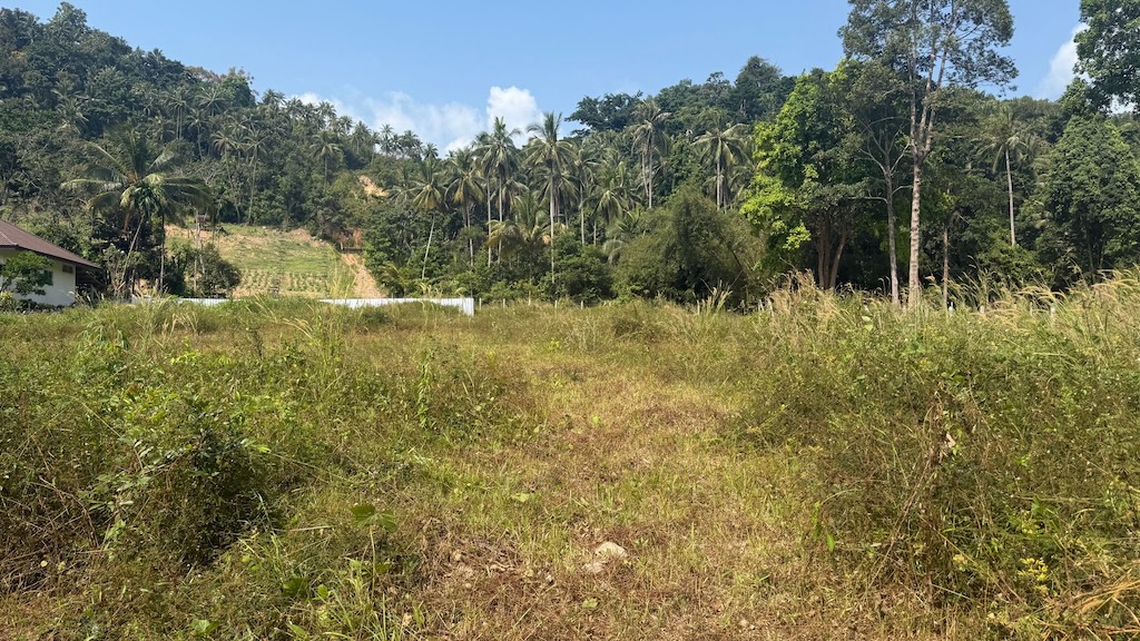 Land For Sale In Koh Samui's Southwest