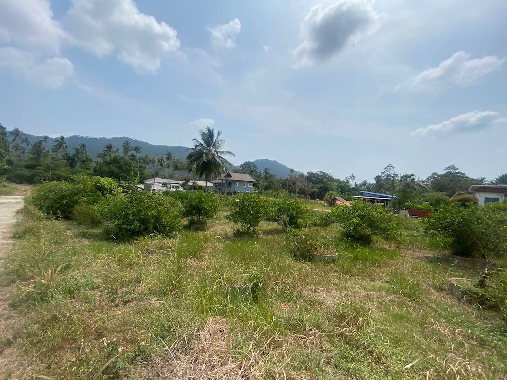 Land For Sale In Lamai Ko Samui 1