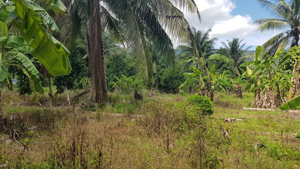 Land For Sale In Lamai Koh Samui 2