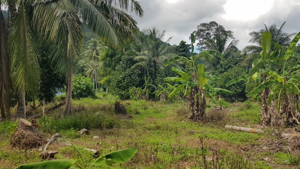 Land For Sale In Lamai Koh Samui 4