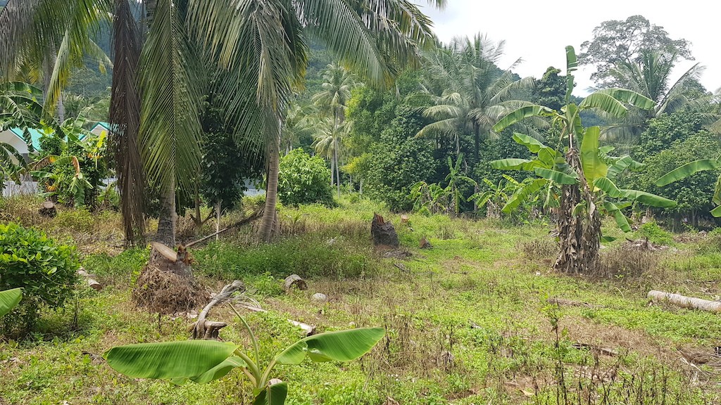 Land For Sale In Lamai Koh Samui 7