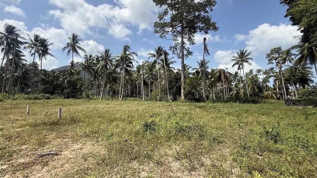 Land For Sale In Maenam