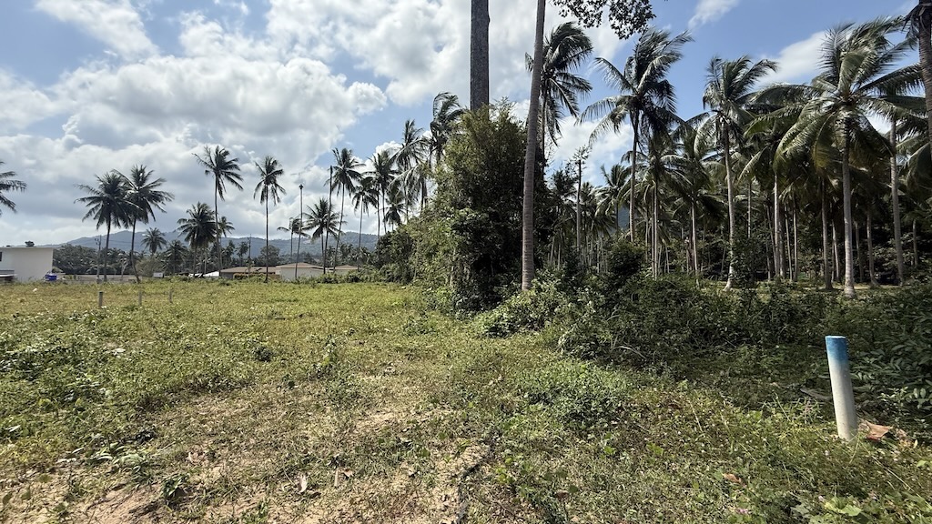 Land For Sale In Maenam Boundary