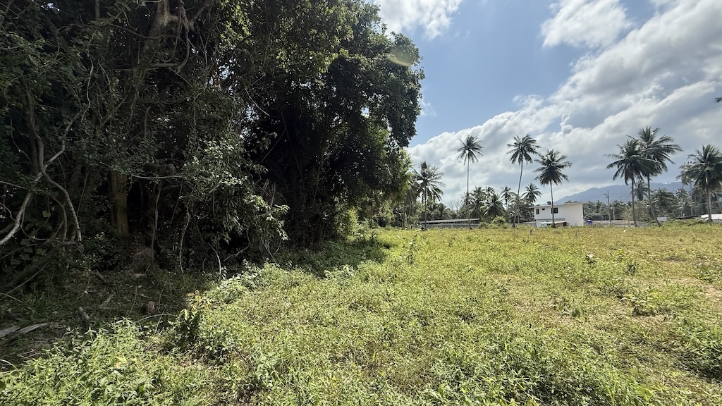 Land For Sale In Maenam Side