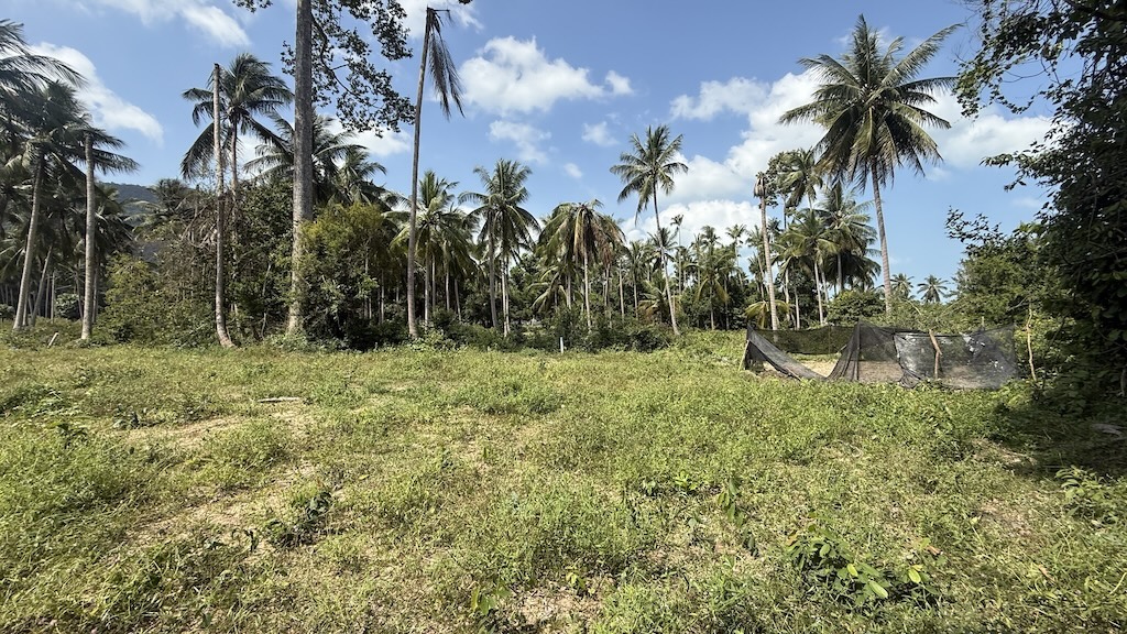 Land For Sale In Maenam