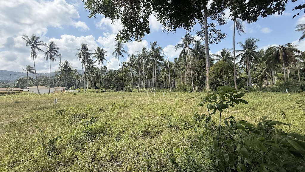 Land For Sale in Maenam