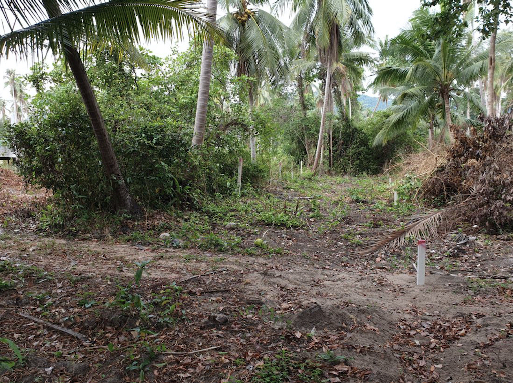 Land For Sale In Na Muang Koh Samui 5