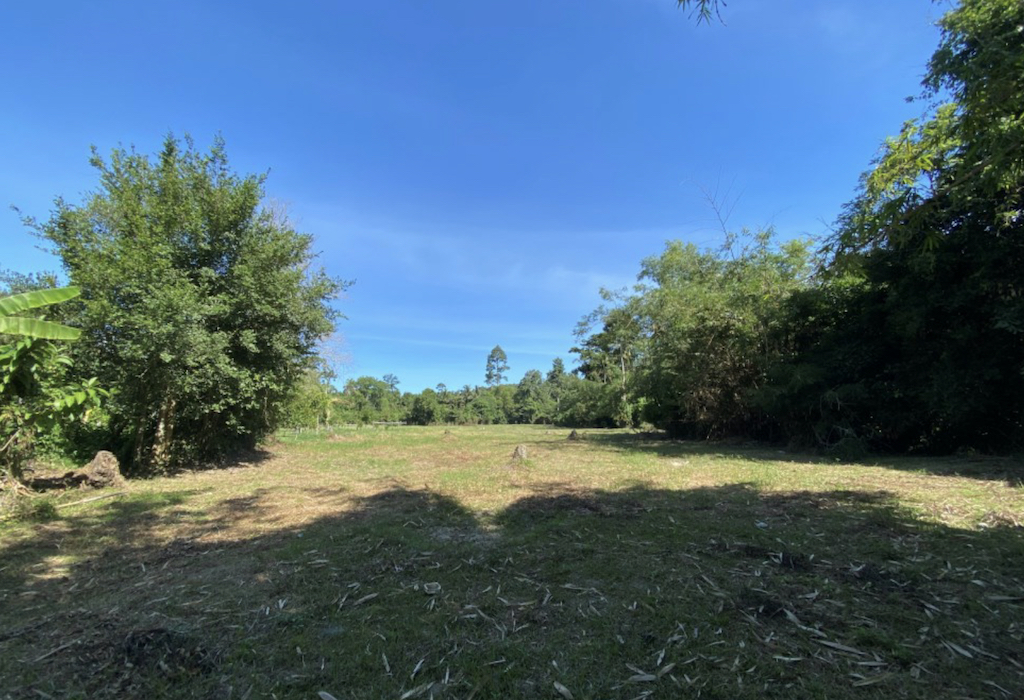 Land For Sale In The Taling Ngam Koh Samui