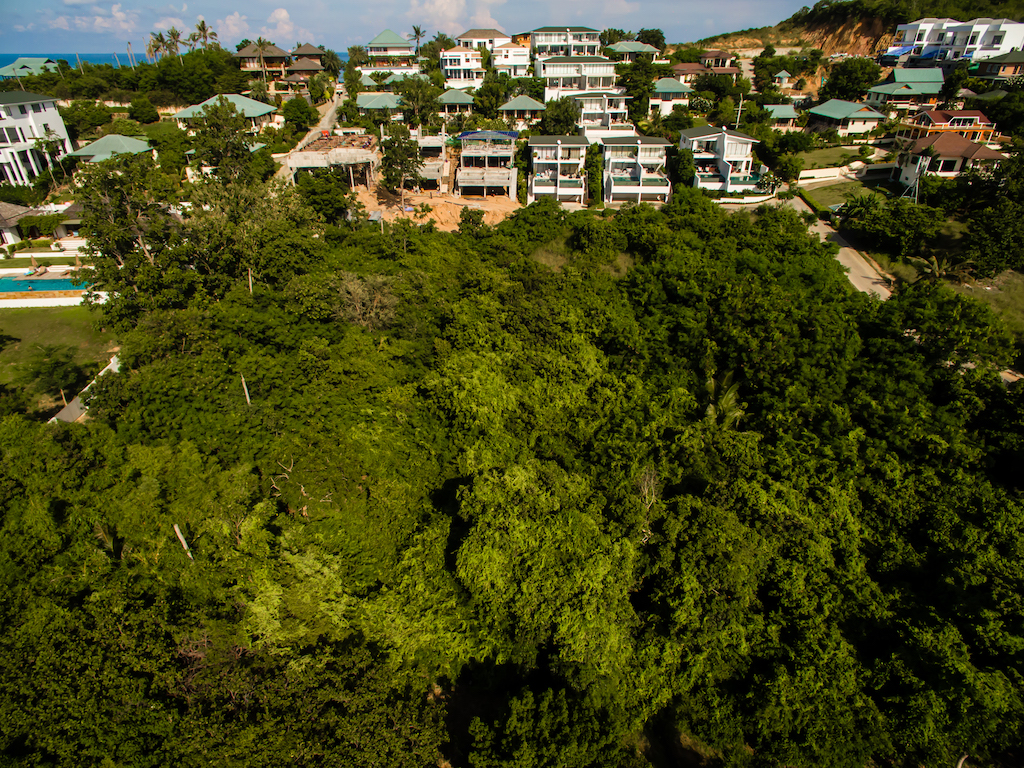 Land For Sale Ko Samui – Land in Koh Samui (photo 1)