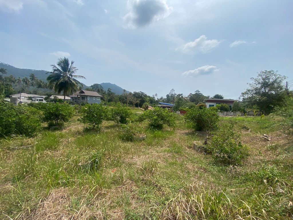 Land For Sale In Lamai Ko Samui 3