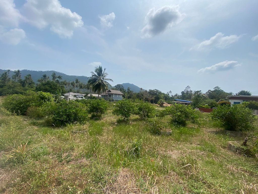 Land For Sale In Lamai Ko Samui 4
