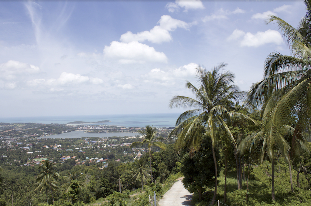 Land & Project Design For Sale Ko Samui – Land in Koh Samui (photo 5)
