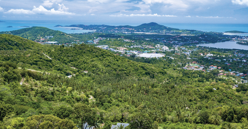 Land & Project Design For Sale Ko Samui – Land in Koh Samui (photo 1)