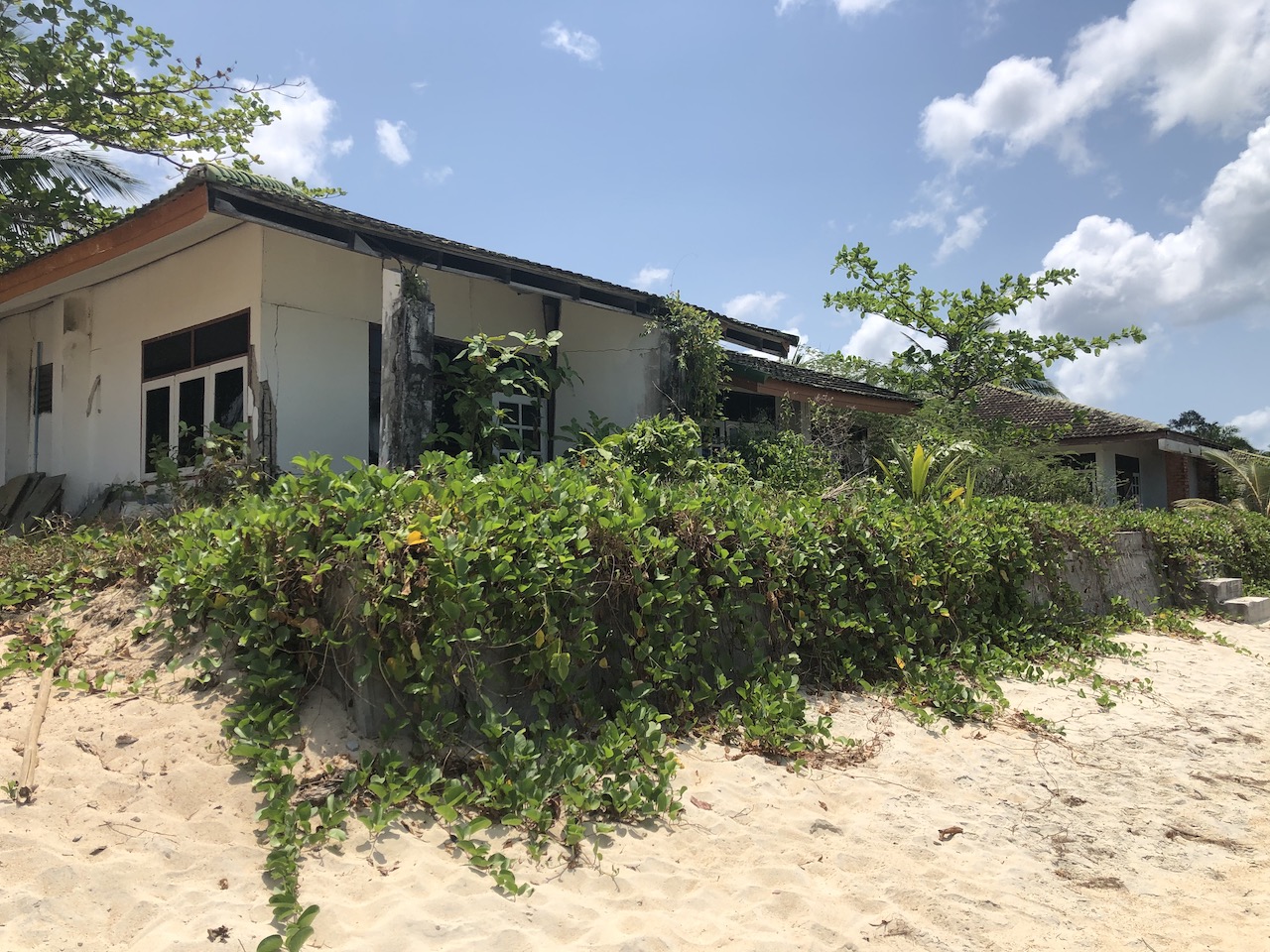 Lipa Noi Beach Land For Sale Koh Samui – Land in Koh Samui (photo 8)