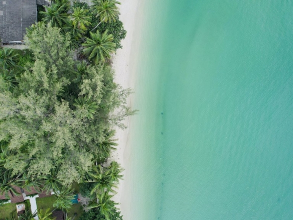 Lipa Noi Beachfront Land