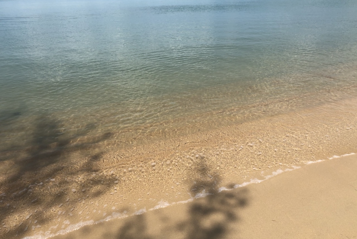 Lipa Noi Beachfront Land For Sale Koh Samui – Land in Koh Samui (photo 8)
