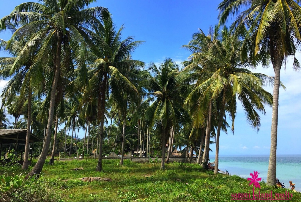 Maenam Beach Land For Sale Ko Samui – Land in Koh Samui (photo 4)