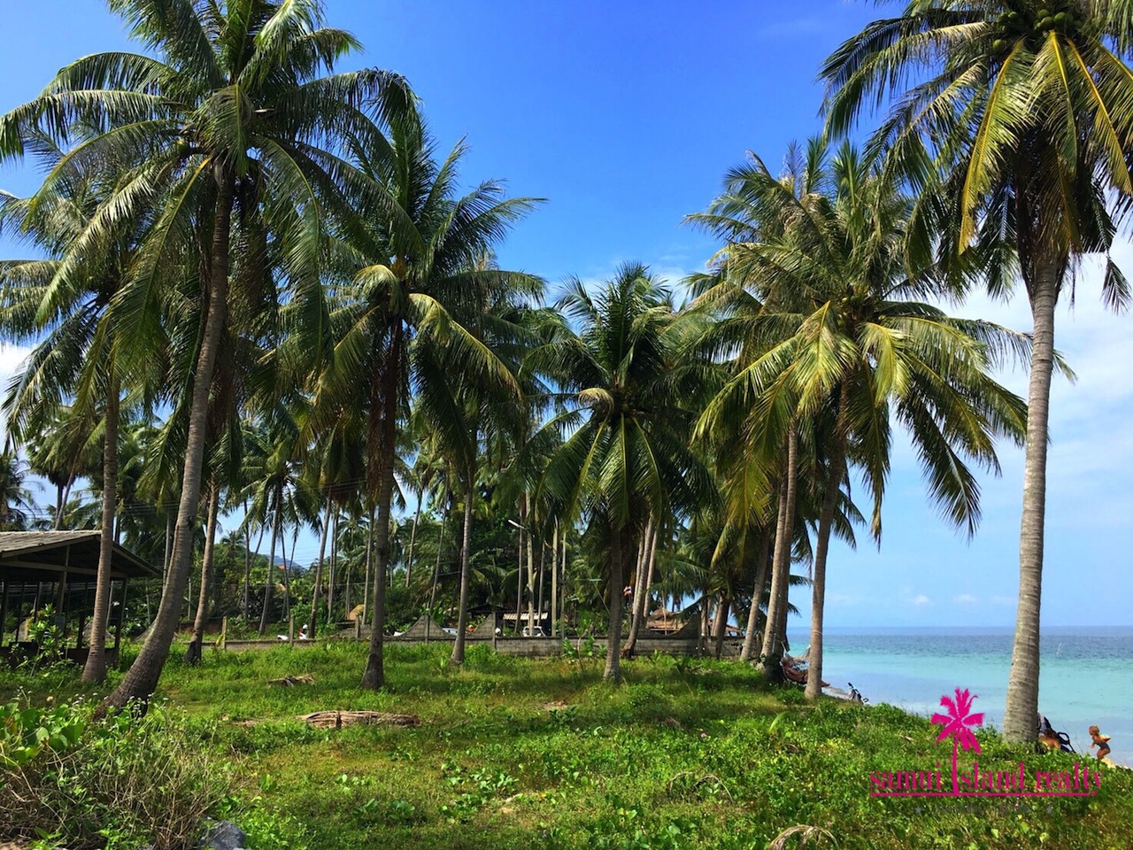 Maenam Beach Land For Sale Ko Samui – image 4 Maenam Beach Land For Sale Ko Samui – Land in Koh Samui (photo 4)