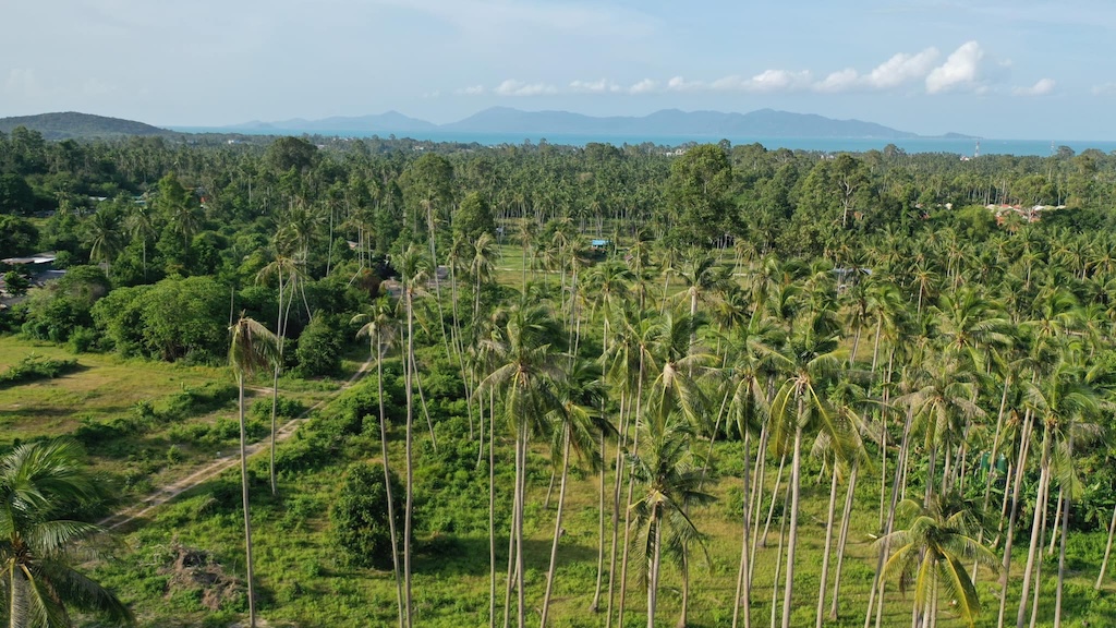 Maenam Koh Samui Land For Sale