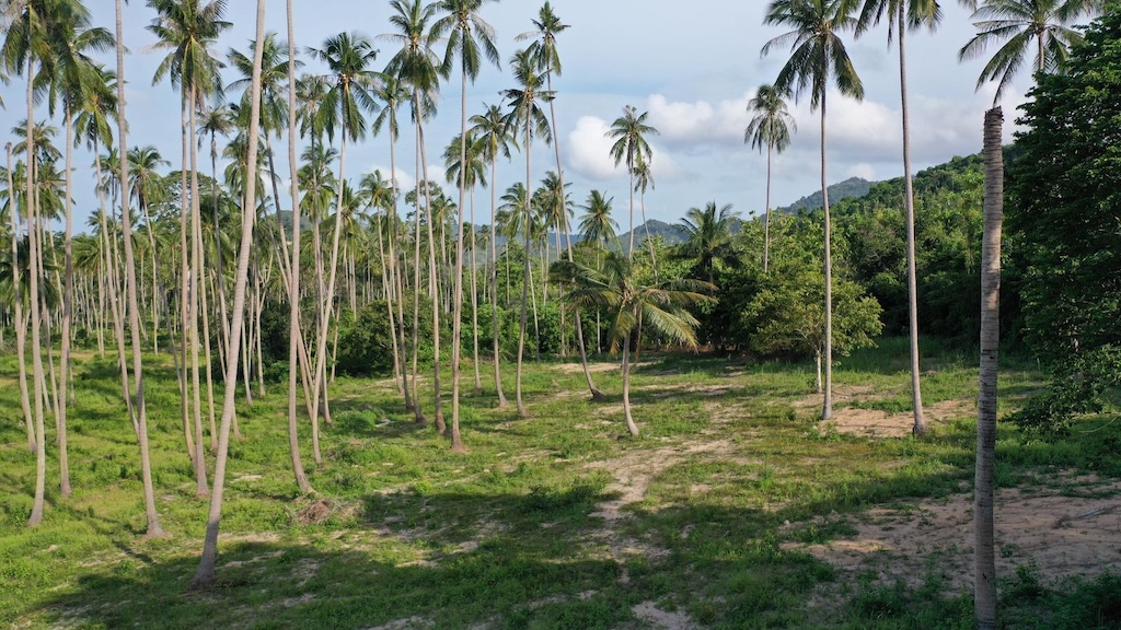 Maenam Koh Samui Land For Sale