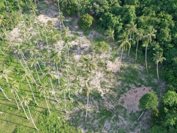 Maenam Koh Samui Land For Sale Aerial