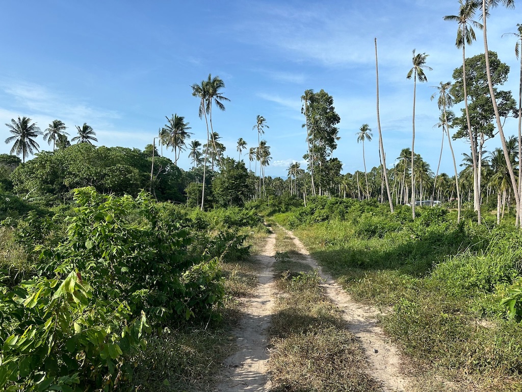 Maenam Koh Samui Land For Sale Road